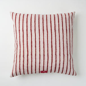 Cushion Dianthus Midnight Iron