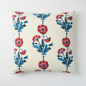 Cushion Dianthus Midnight Iron