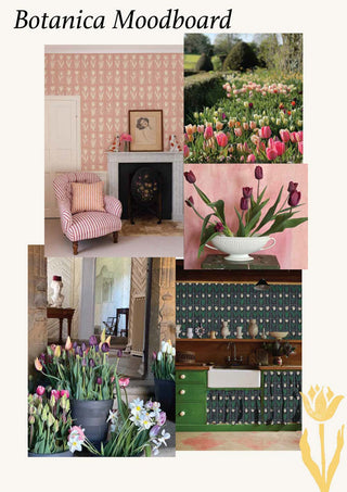 Molly Mahon Botanica Mood board, layers, styling, interior design