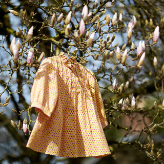 cabbages and roses handmade womans shirt made from molly mahons tuk tuk yellow design hanging in a magnolia tree at the beginning of spring readying for their capsule launch