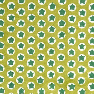 Tuk Tuk Block printed Fabric Cotton Green Sample