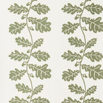 Trailing Acorn Wallpaper Olive